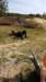 img20190922wa0000_small.jpg